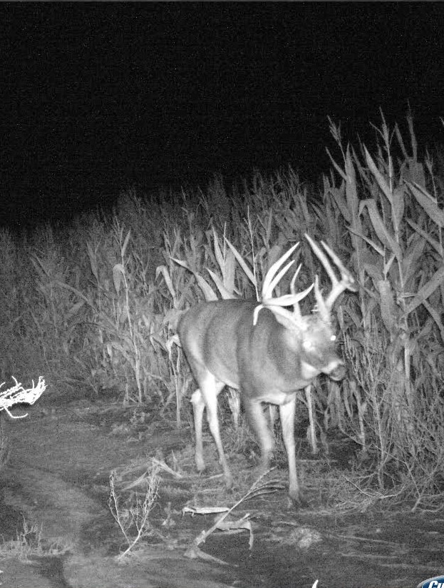 ABO Outfitters Chariton River Valley Outfitters Kirksville, Missouri