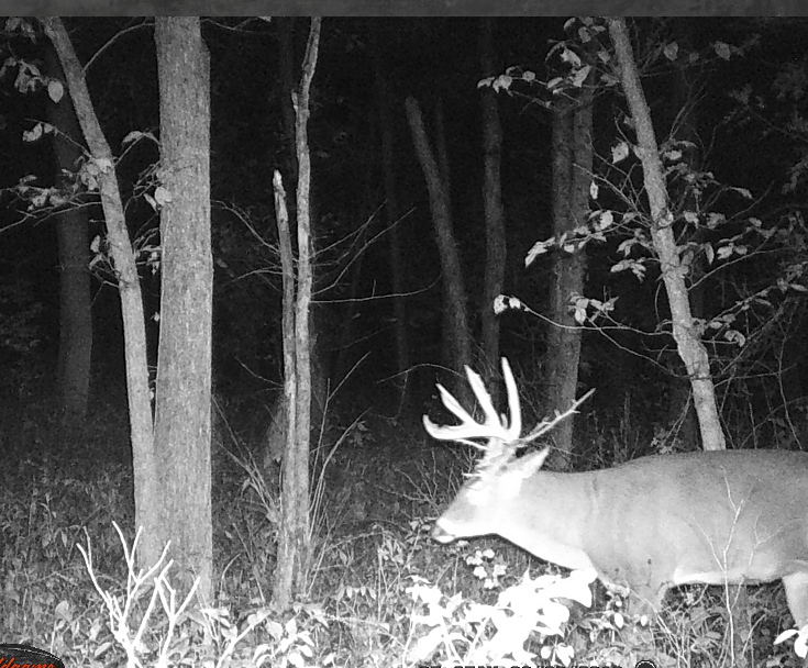 ABO Outfitters Chariton River Valley Outfitters Kirksville, Missouri