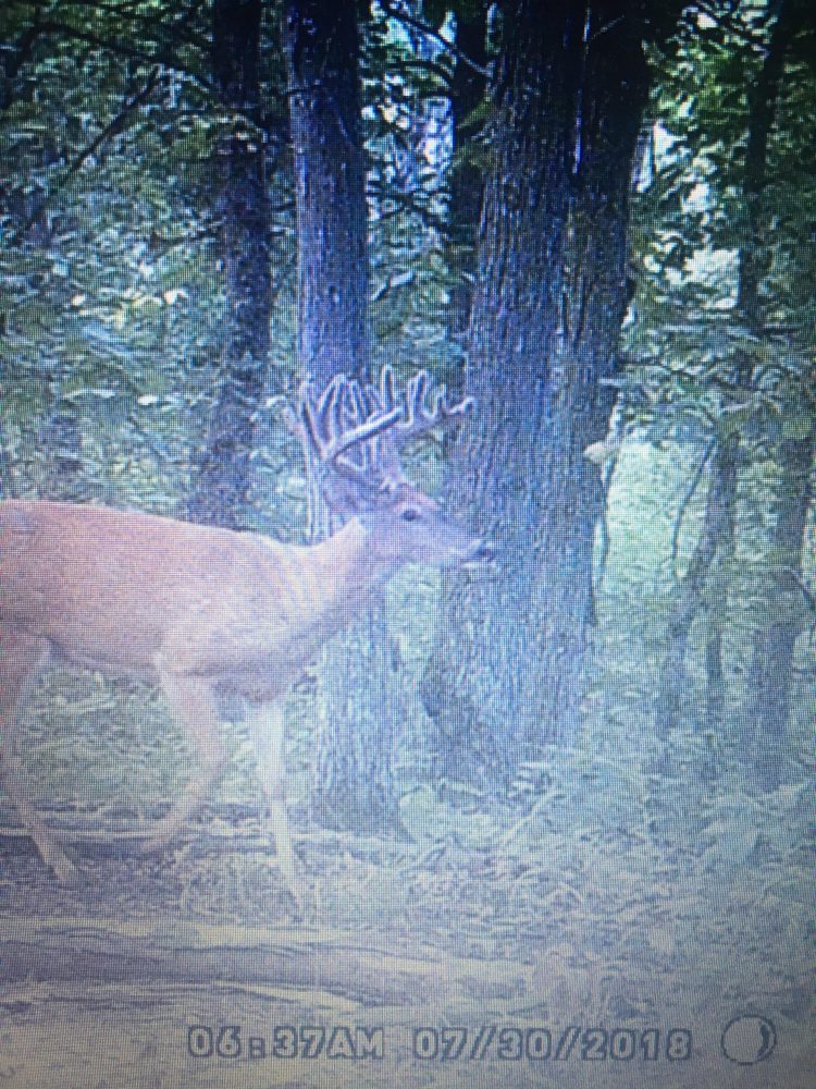 ABO Outfitters Chariton River Valley Outfitters Kirksville, Missouri