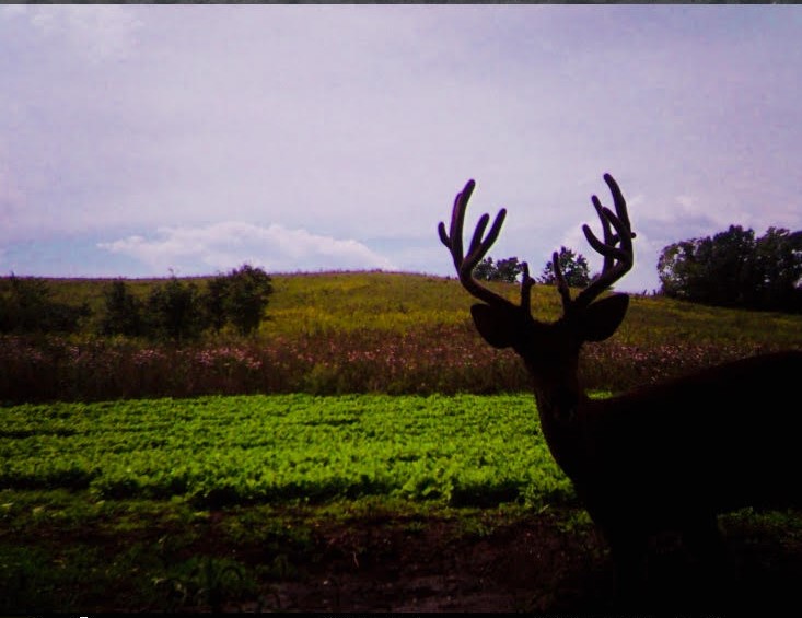 ABO Outfitters Chariton River Valley Outfitters Kirksville, Missouri