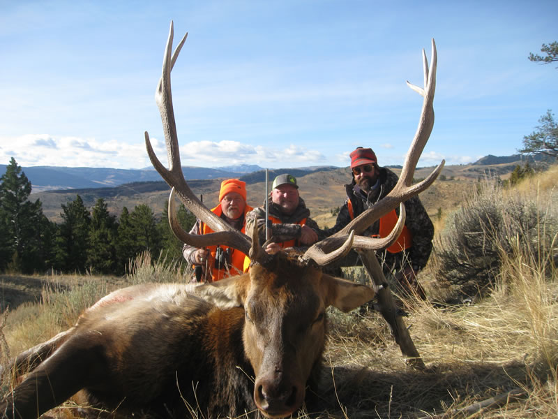 elk-hunting-montana-1