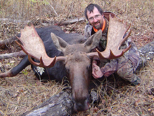 lrg-36-moose-hunt8