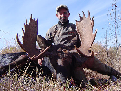 lrg-37-moose-hunt9